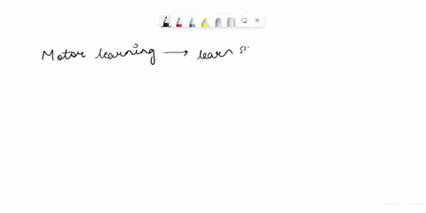 why-is-the-change-in-motor-learning-and-motor-control-across-the-life-span-important-24242