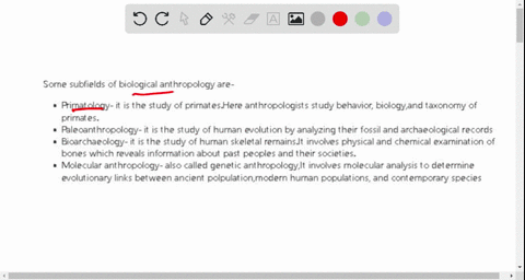 what-are-some-subfields-of-biological-anthropology-and-what-do-those-anthropologists-study-52545