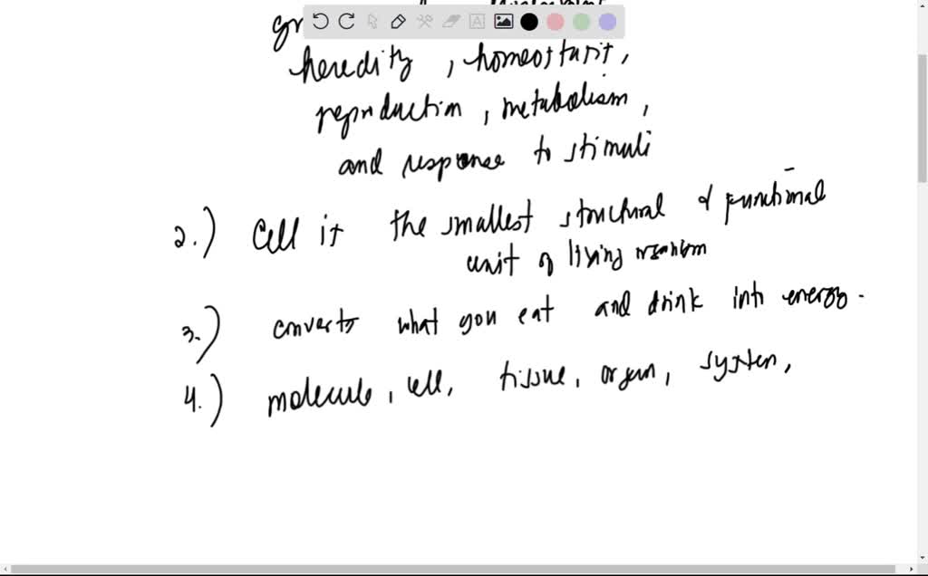 solved-organizaci-n-de-la-materia-1-qu-es-la-materia-2-c-mo-esta