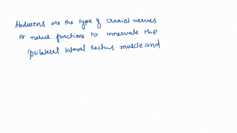 which-of-the-following-cranial-nerves-carries-only-motor-information-07273