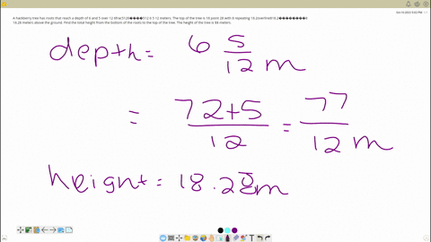 a-hackberry-tree-has-roots-that-reach-a-depth-of-6-and-5-over-12-6frac512-6-5-12-meters-the-top-of-the-tree-is-18-point-28-with-8-repeating-182overline8-1828-meters-above-the-ground-find-the-15001
