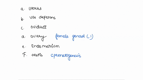 match-each-reproductive-structure-with-its-description-a-uterus-b-vas-deferens-c-oviduct-d-ovary-e-e-57346