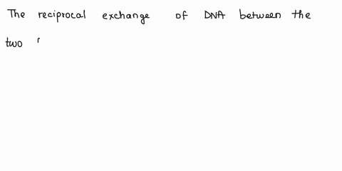 in-using-this-word-xtrachromosomally-bank-phage-packaging-episomally-prototrophs-factor-specialized-homologous-hfr-recombination-strain-generalized-theta-replication-transduction-auxotrophs-39238