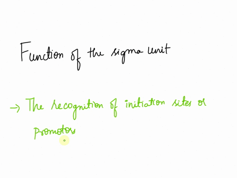 what-is-the-function-ofthe-sigma-subunit-factor-of-e-coll-rna-polymerase-in-transcription-addition-of-a-5-cap-formation-of-phosphodiester-bonds-using-ribonucleotide-triphosphates-recognitian-08204
