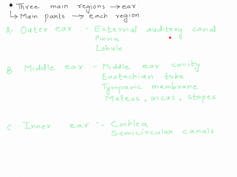 concept-what-are-the-three-main-regions-of-the-ear-and-what-are-the-main-parts-ofeach-region-tbetcemain-tegions-oftheex-aretheoutet-car-temiddlee-r-and-theimc-exr_-and-what-are-their-main-fu-13635