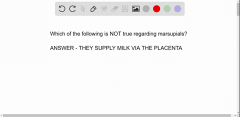 which-of-the-following-is-not-true-regarding-marsupials-marsupials-give-birth-to-altricial-young-marsupials-supply-offspring-milk-via-the-placenta-marsupials-supply-offspring-milk-via-nipple-51157
