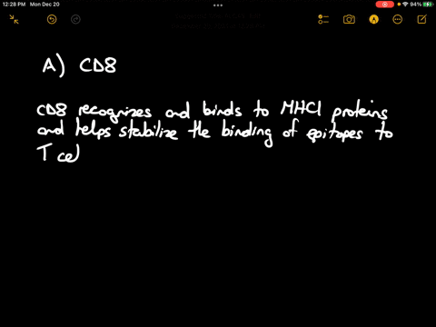 45-which-of-the-following-recognizes-and-binds-to-mhc-i-proteins-and-helps-stabilize-the-binding-of-epitopes-to-t-cell-receptors-a-cd8-b-mhc-i-c-cd26-d-cd4-e-cd95-25158