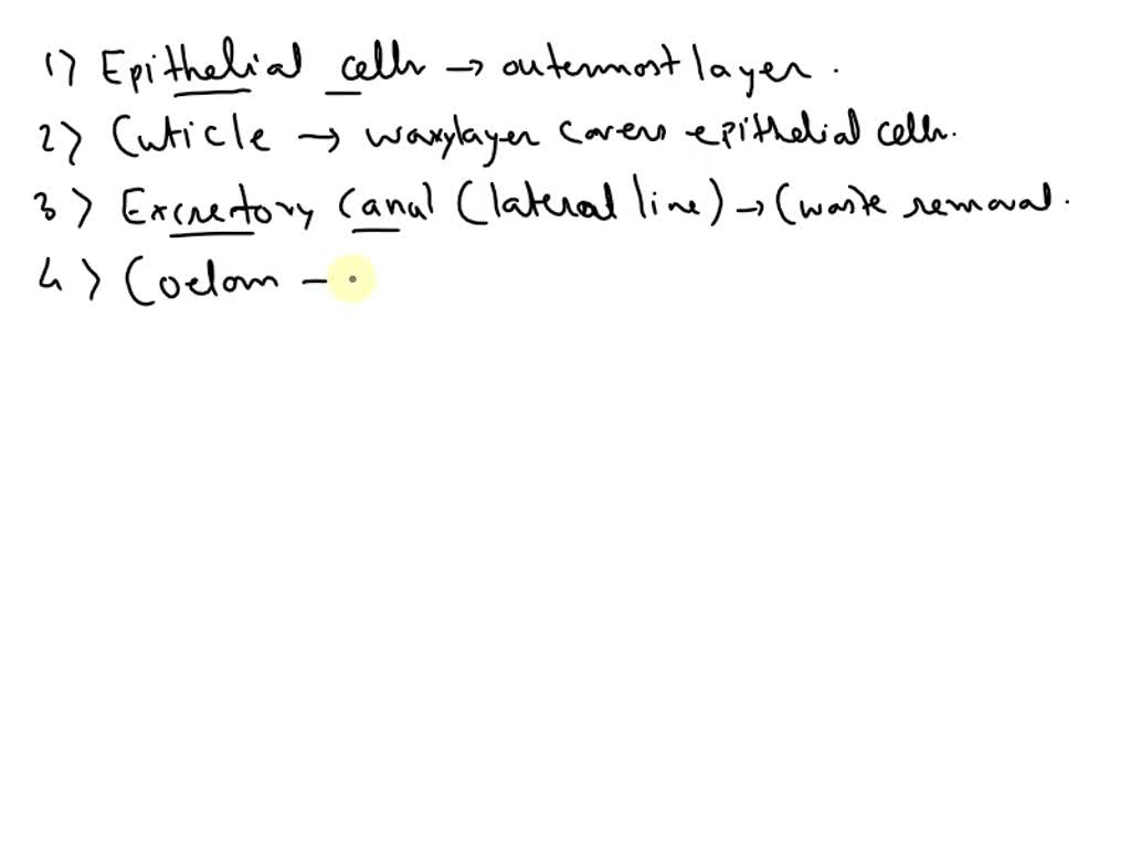 SOLVED: Label the diagram: (outermost layer) (space) Epidermal cells ...