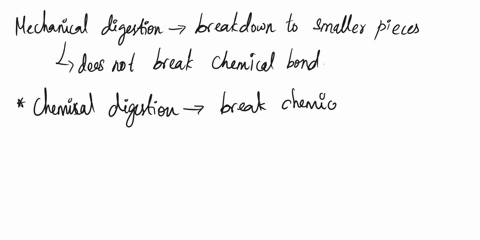 why-is-chemical-digestion-required-for-most-animals-as-opposed-to-just-mechanical-digestion-macromolecules-remaining-from-mechanical-digestion-are-not-small-enough-to-be-absorbed-into-cells-20077