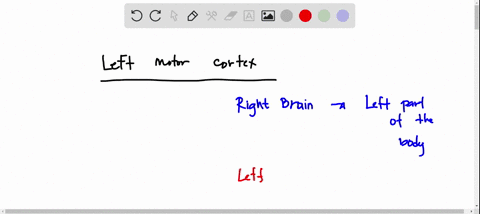 a-patient-has-suffered-a-cerebral-hemorrhage-that-has-caused-dysfunction-of-the-precentral-gyrus-of-25318
