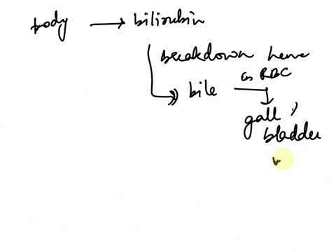 how-does-the-body-get-rid-of-bilirubin-one-or-more-answersa-excretes-in-bileb-exits-in-urinec-deposit-it-in-the-skin-for-metabolismdremoved-by-feces-68515