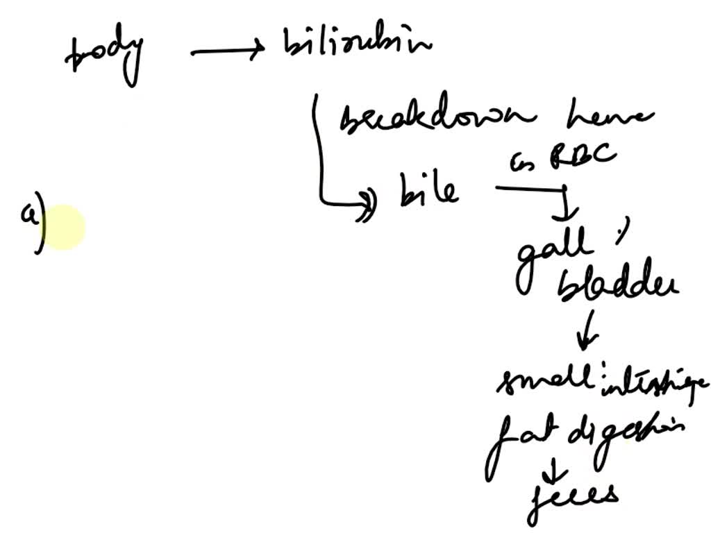 SOLVED The clinical setting, how would you dispose of vomit, stool