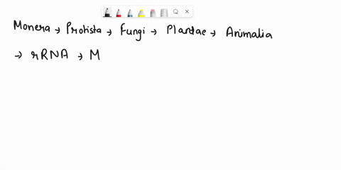 consider-the-classic-five-kingdom-model-of-life-according-to-the-tree-of-life-first-described-by-sma-61052