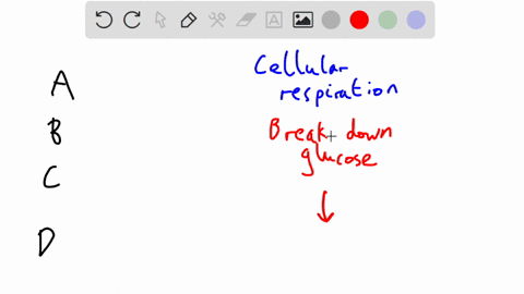 what-would-happen-to-a-cell-if-cellular-respiration-stoppeda-the-cell-would-use-water-for-energyb-the-cell-would-not-produce-enough-atpc-glucose-breakdown-would-increased-atp-production-woul-74808