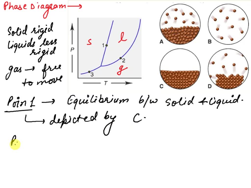 SOLVED: Text: Visualizing physical states in phase diagram Match each ...
