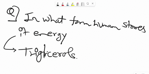 question-05-points-humans-store-energy-in-the-form-of-glycerol-triacylglycerols-fatty-acids-none-of-these-question-3-05-points-which-of-the-following-statements-is-true-triacylglycerols-can-56573