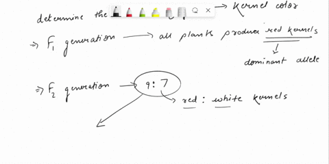 31-three-different-pure-breeding-strains-of-corn-that-produce-ears-with-white-kernels-were-crossed-each-other-in-each-case-the-fi-plants-all-produced-red-kernels-while-both-red-and-white-ker-75961