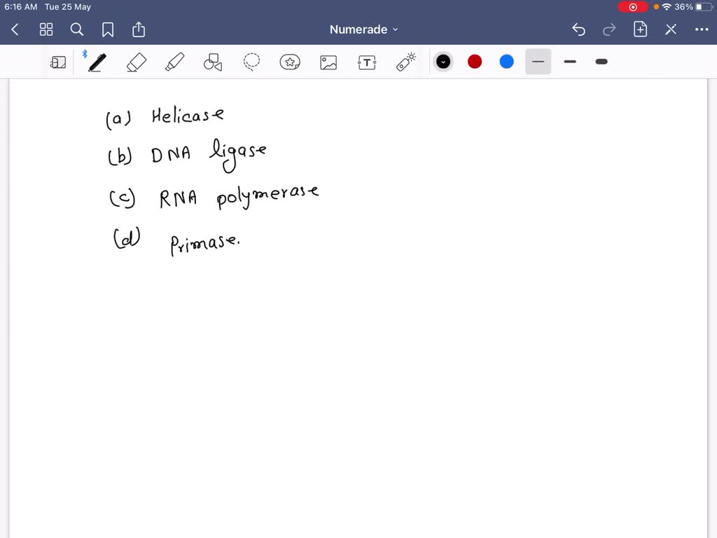 SOLVED All of the following enzymes are involved in DNA replication