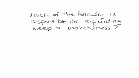 25-which-of-the-following-is-responsible-for-regulating-sleep-and-wakefulness-a-cerebrum-b-cerebellum-c-reticular-formation-d-limbic-system-e-none-of-the-above