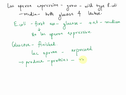 if-wild-type-e-coli-cells-are-grown-in-the-medium-containing-both-glucose-and-lactose-what-will-happen-to-expression-of-the-lac-operon-describe-how-specific-cis-and-trans-factors-contribute-04761