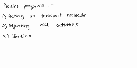 proteins-perfom-four-of-the-following-functions-they-do-not-however-select-one-act-as-transport-molecules-adjust-cell-activities-bind-molecules-to-or-inside-cells-store-large-amounts-of-ener-00843