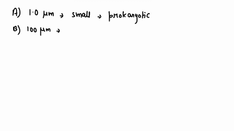 which-of-the-following-would-most-likely-be-the-diameter-of-a-eukaryotic-cell-a-10mu-mathrmm-b-100mu-29253