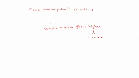 if-a-cell-is-placed-in-a-hypotonic-solution-there-will-be-no-net-movement-of-water-and-the-cell-will-remain-the-same-size-b-movement-of-water-out-of-the-cell-and-the-cell-will-shrink-in-cell-33782