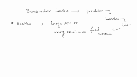 assume-you-are-studying-a-population-of-bombardier-beetles-when-confronted-with-a-predator-the-small-beetles-survive-because-they-are-ignored-and-the-largest-beetles-also-survive-because-the-44697