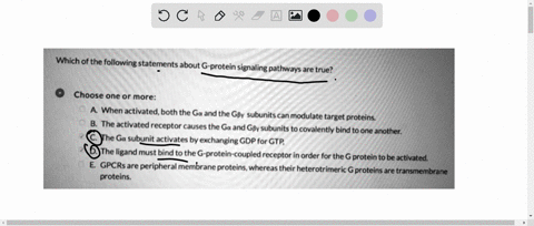 which-of-the-following-statements-about-g-protein-signaling-_-pathways-are-true-choose-one-or-more-when-activated-both-the-ga-and-the-gby-subunits-can-modulate-target-_-proteins-the-activate-35643