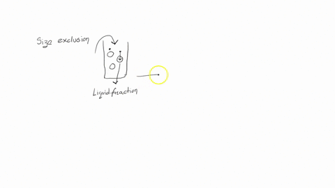 question-5-as-we-purify-the-x-protein-by-size-exclusion-chromatography-we-collect-liquid-fractions-of-all-of-the-material-that-passes-through-the-column-what-experimental-technique-can-we-us-90373