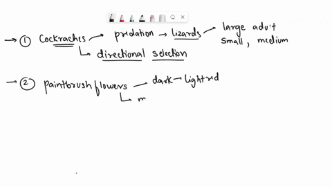 match-each-scenario-with-the-type-or-mode-of-selection-that-fits-best-answers-can-be-used-more-than-once-group-of-answer-choices-1a-population-of-madagascar-hissing-cockroaches-lives-in-a-wo-65989