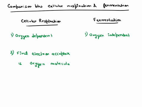 which-of-the-following-correctly-compared-fermentation-and-cellular-respiration-80209