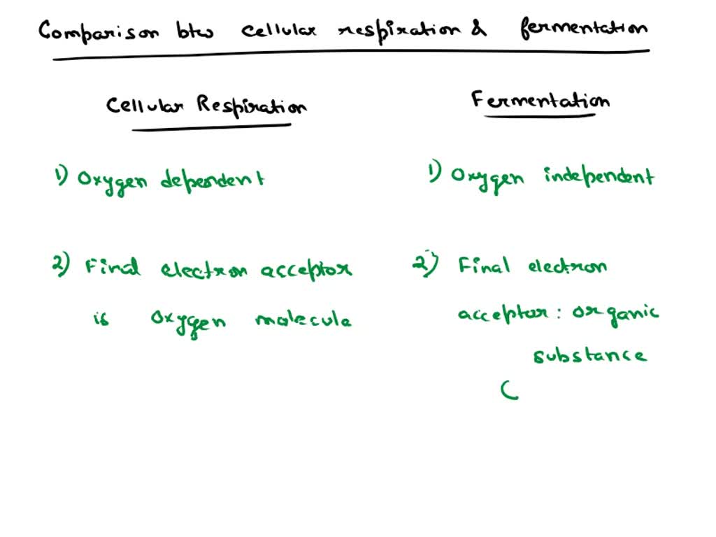 Which Of The Following Statements About Fermentation Is True SOLVED: Which of the following statements correctly describes