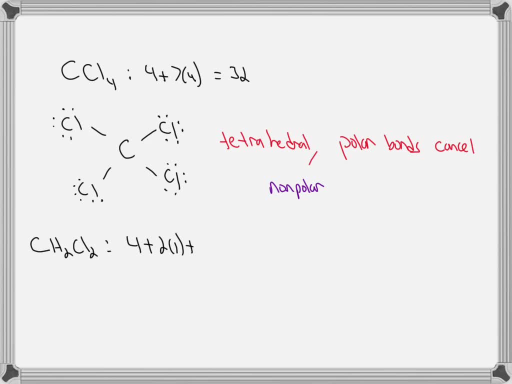 SOLVED Which Molecule Would You Expect To Be More Soluble In Water   4a8aefe3 25c6 470e 9246 513d2b1fbea8 Large 