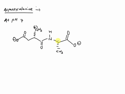 draw-the-dipeptide-aspartylalanine-at-ph-70-add-charges-to-groups-that-are-ionized-at-neutral-ph-what-is-the-charge-of-the-dipeptide-at-neutral-ph-70-23789