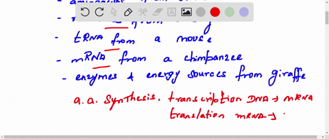 suppose-you-mix-the-following-components-of-protein-synthesis-in-a-test-tube-amino-acids-from-a-rabb-85515