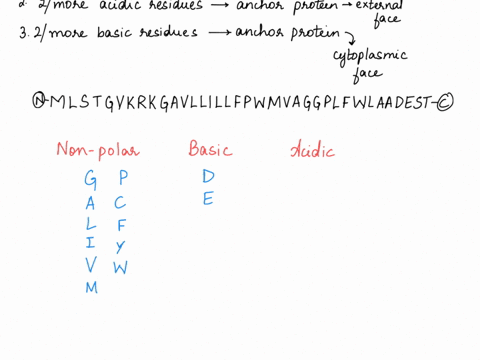 a-transmembrane-protein-usually-has-the-following-features-1-the-portion-that-transits-the-membrane-bilayer-is-at-least-20-amino-acids-in-length-which-are-largely-or-exclusively-nonpolar-res-26714