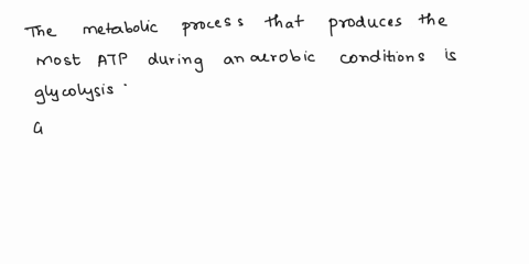 the-metabolic-processles-that-produces-the-most-atp-during-anaerobic-conditions-isare-oxidative-phosphorylation-conversion-of-pyruvate-t0-ethanol-the-citric-acid-cycle-conversion-of-pyruvate-47198