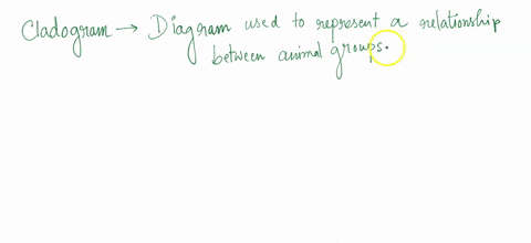 using-the-cladogram-below-which-animal-is-most-closely-related-to-the-dog-human-macaque-dog-bird-lamprey-00-i0-number-0l-amino-20-4cld-0f-vertebrale-diferoncos-between-hemoglobin-species-and-90323