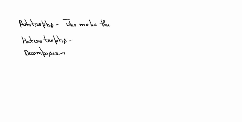 explain-the-relationship-between-autotrophs-heterotrophs-and-decomposers-in-4-to-5-sentences-82589