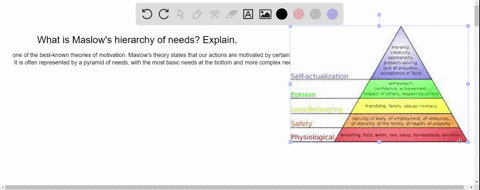 what-is-maslows-hierarchy-of-needs-explain-78974