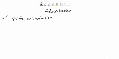 list-two-post-cranial-traits-au-afarensis-had-that-indicate-this-species-was-adapted-for-bipedalism-explain-how-each-adaption-allowed-au-afarensis-to-walk-bipedally-54514