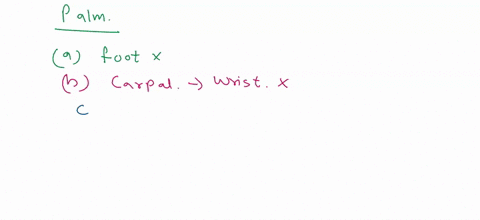 question-17-which-of-the-following-is-found-in-the-palm-of-your-hand-tarsal-carpal-phalanx-metatarsal-metacarpal-64825