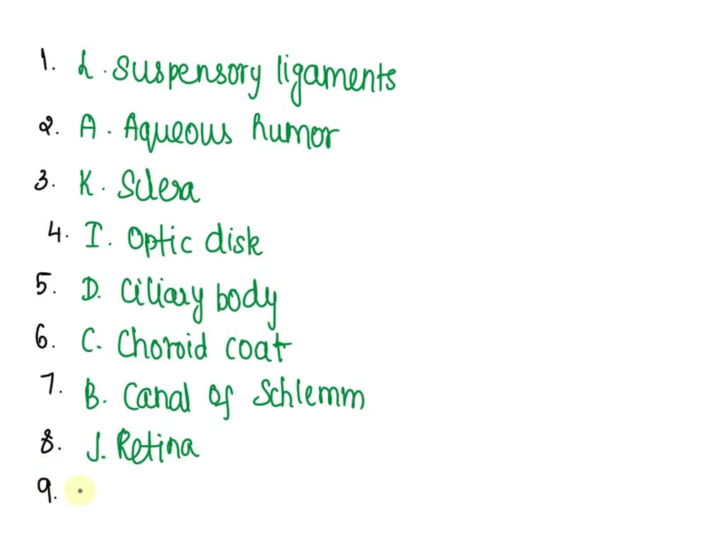 SOLVED Chapter 8. Special Senses 8. Using key choices, identify the