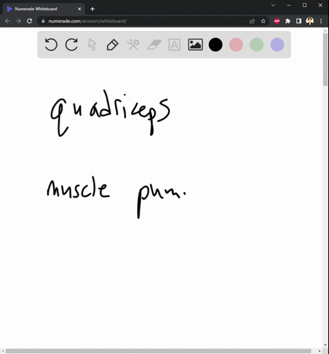 explain-how-muscular-activity-and-venous-valves-aid-venous-return-11692