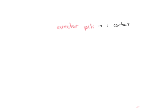 these-matching-questions-are-all-about-thermoregulation-question-3-options-when-we-want-to-conserve-heat-to-stay-warmer-do-your-arrector-pili-muscles-contract-or-do-they-not-contract-the-blood-vessels