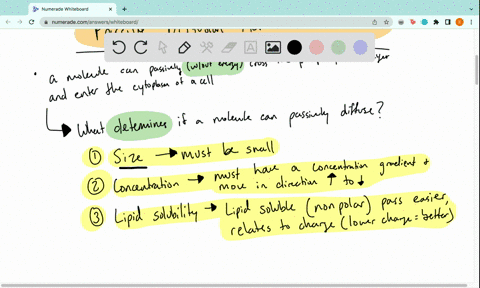 list-two-characteristics-of-a-molecule-that-will-dictate-whether-or-not-it-can-passively-cross-a-membrane