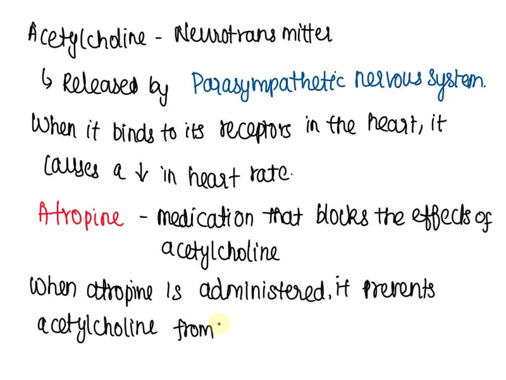 SOLVED: Explain the mechanism of how an Epi shot (injection of ...