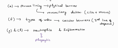 which-of-the-following-statements-are-true-of-innate-immuniiy-read-carefully-and-select-all-of-the-correct-statements-5-marks-inflammabon-is-4-response-injury-and-involves-the-release-of-his-25364