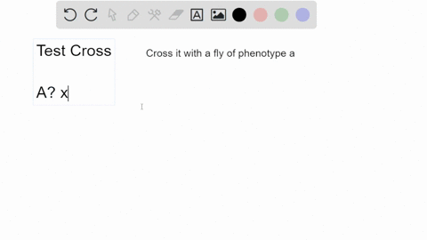 if-you-had-a-fruit-fly-drosophila-melanogaster-that-was-of-phenotype-a-what-test-would-you-make-to-d-47852